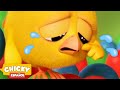 ¿Dónde está Chicky? 2020 | CHICKY ESTÁ TRISTE | Dibujos Animados Para Niños