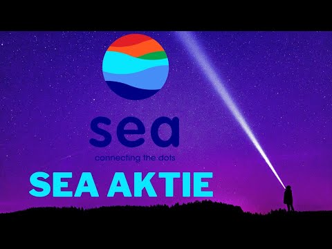 Update Sea Ltd. Aktien Analyse 2022! Sea Ltd. mit 711% Wachstum in einem Segment!