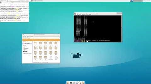FreeBSD + jails + spice + Xorg QXL