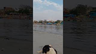 Yamunaji parli paar sei Sri Vrindavan dham ki Live Darshan #Braj Ras #Vrindavan 🌻 🌻