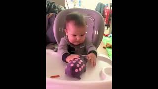 Some Funny Babies #babies #babyshorts #babyvideos  #funnyvideo #funny #funnyshorts