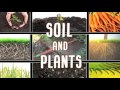 All About soil