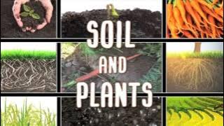All About soil