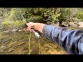 The water got unnaturally low…