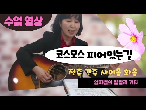 코스모스 피어있는길 기타 수업영상 Am 3카포 ( 전주/간주/사이음/화음)