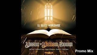 Words of Wisdom Riddim Mix (Full, Oct 2018) Feat. Jah Vinci, Delly Ranx, Diligence, Zagga, Nina, …