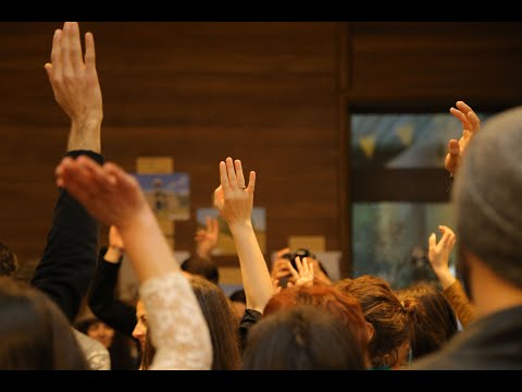 მრავალფეროვნების სკოლა | Diversity School