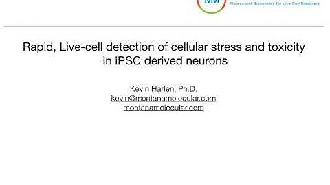Live-cell detection of cell stress and toxicity in iPSC derived neurons