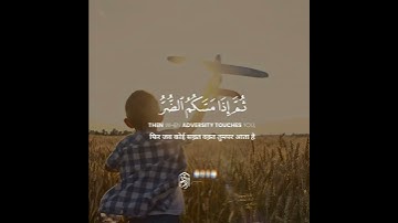 An-Nahl سورة النحل | Verse 53 | عبدالرحمن مسعد - Abdulrhman Mosad