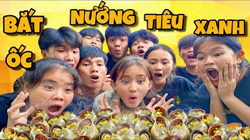 Anh Ba Phai | Bắt Ốc Nướng Muối Tiêu Xanh Ăn Tại Chỗ 🐚