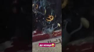 Кот Попал В Мышиную Ловушку🥴😱🤣🤣