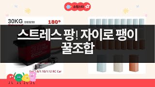 스트레스 해소! 메탈 자이로 팽이  푸들 인형  카드팩 리뷰