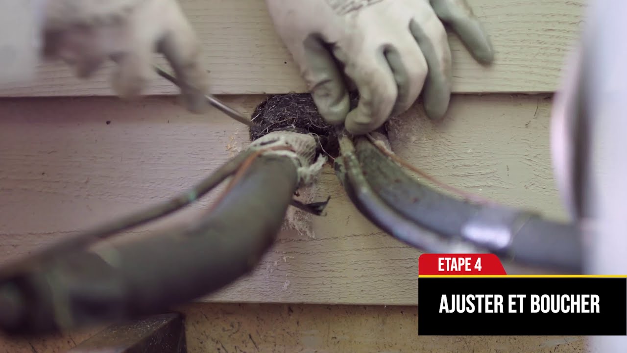 Laine d'acier pour contrôle des souris, kit de tissu de remplissage de  laine d'acier à faire soi-même pour bloquer les espaces, fissures murales