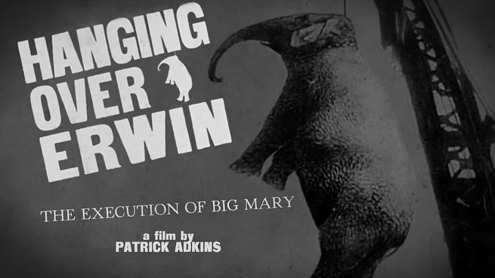 Hanging Over Erwin: The Execution of Big Mary