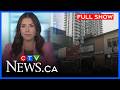 New venue for controversial show and Hollywood hair tips | CTV News Kitchener at 5 for Feb. 11, 2026