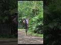 step by step 😯😯😯💯💯💯#viral #viral #video #indianbikesdriving3dnewtodayupdate #automobile #drift #pit
