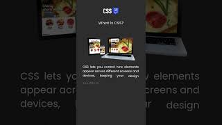 Beginner to Advanced | Learn CSS Programming | CSS Tutorial for Beginners | Web Design