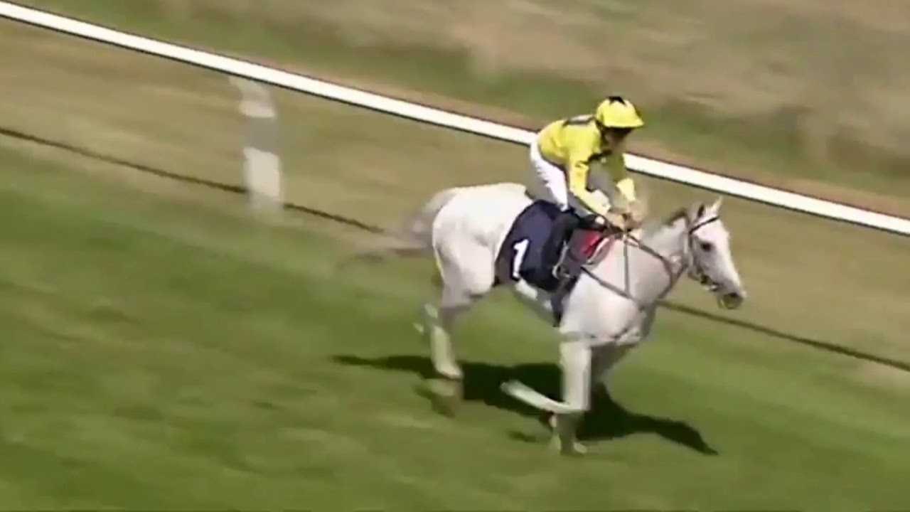 Roy Rocket - The King of Brighton