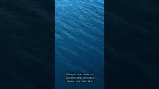 Why Are Oceans Really Blue