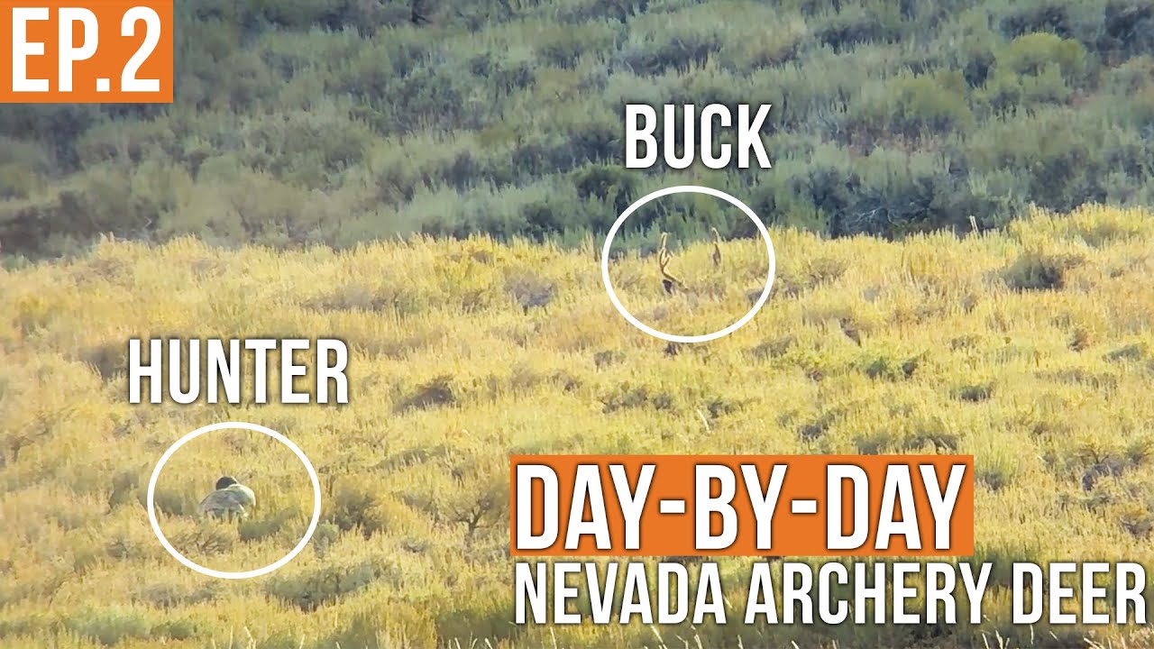 ПРЕСЛЕДОВАНИЕ ВЕЛЬВЕТОВОГО ОЛЕНЬКА в фильме «Шалфей» | Стрельба из лука в Неваде (Эпизод 2)