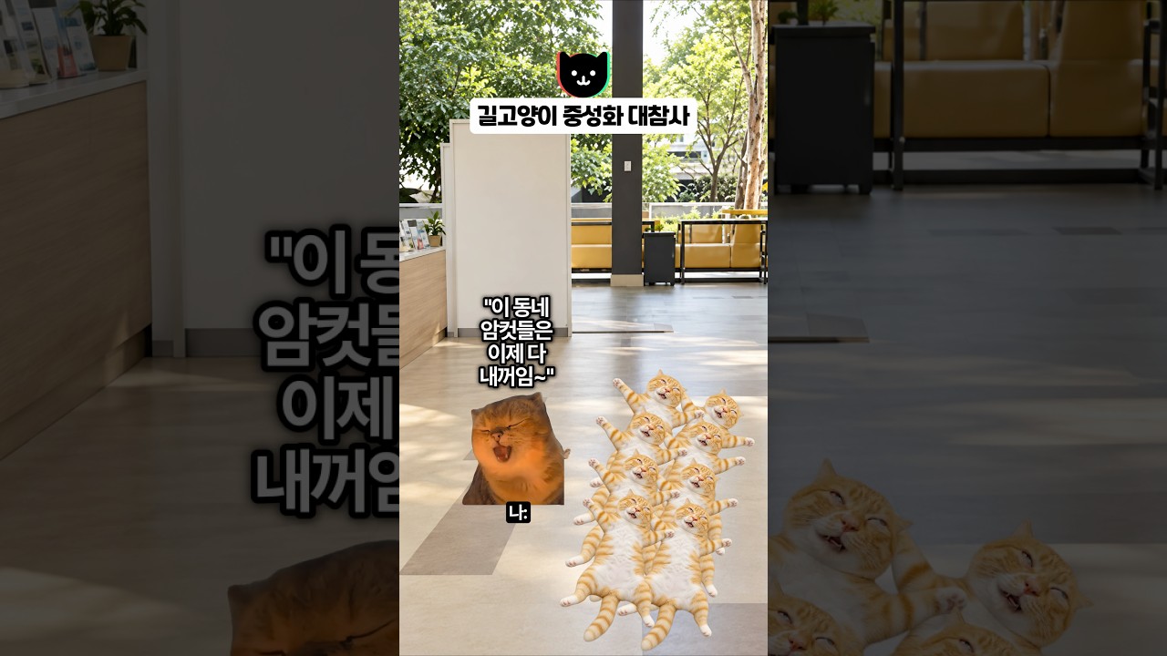 길고양이 중성화 대참사 🐱