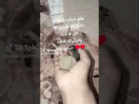 23 سبتمبر 2025