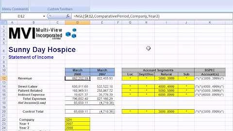Hospice Accounting & Reporting F9: # 12 Advanced Formulas