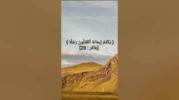 وقال فرعون ذروني تقليد الشيخ خالد الجليل سوره غافر🙂