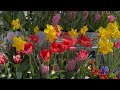 Lowe’s Garden Center Spring Inventory Walkthrough!