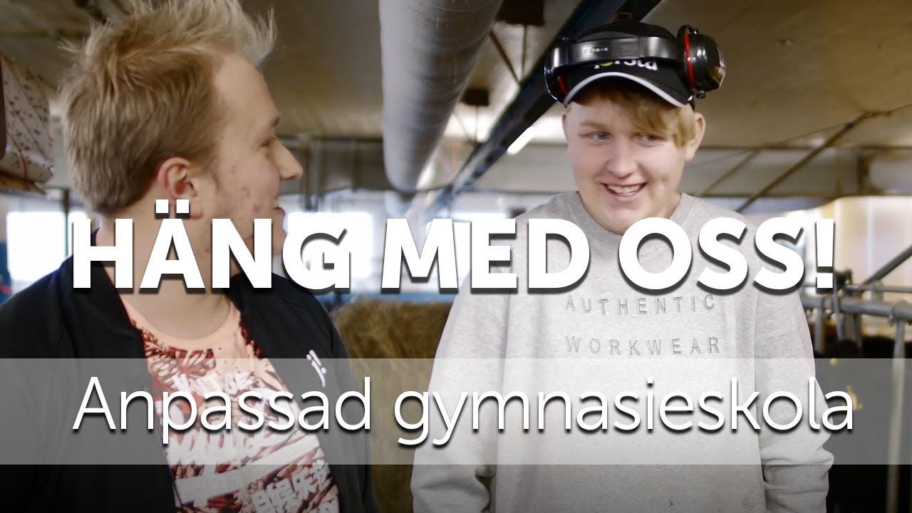 Anpassad gymnasieskola JGY