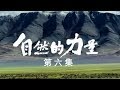 《自然的力量》第六集 追寻 | CCTV纪录