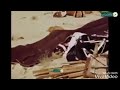 شد ارمام دق البيت شد ارمام دق البيت