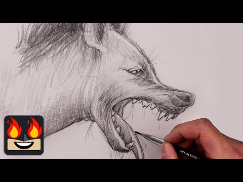How To Draw a Hyena | Pencil Drawing Lesson