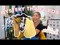 MYSTERY THRIFT SWAP | my friend made me a MYSTERY THRIFT STORE BOX (I am obsessed with everything!)