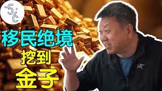 教授移民加拿大沦为苦力，绝望中竟挖到金矿！