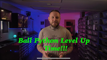 Taking Ball Python project to the next level. Chill Out Tuesday Ep 3