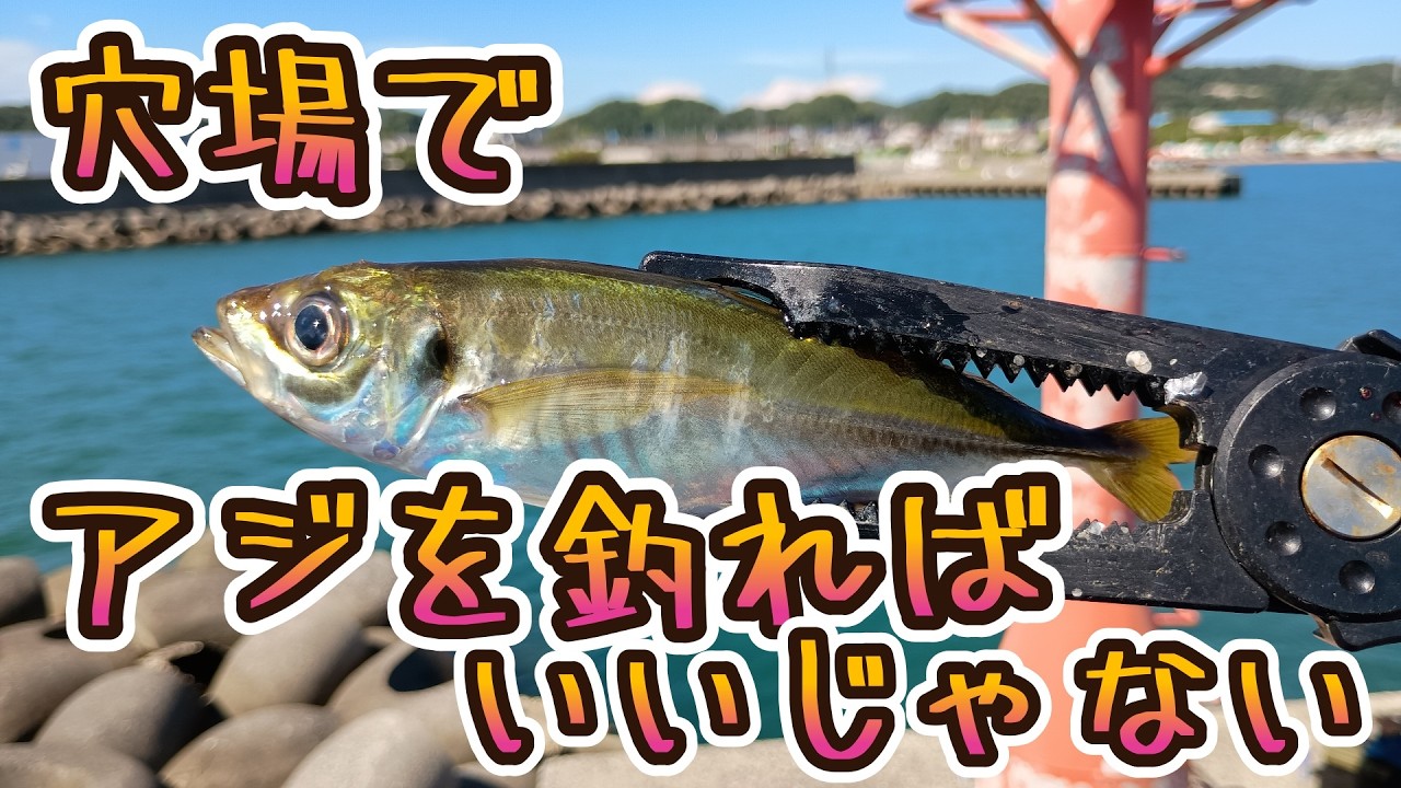 【外房→内房】釣り場激混みの時期には人気のない穴場でアジを釣って生活すればいいじゃない　な動画