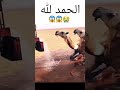 The Camels Are Happy To Have WaterЁЯШК Shorts Allah Islam KayesYTC The Camels Are Happy To Have WaterЁЯШК Shorts Allah Islam KayesYTC