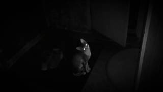 Кошки приколы.Кот смертельно испугался чего-то на потолке.Приколы от Нимфадоры!Ржач!Супер смешно! Кошки приколы.Кот смертельно испугался чего-то на потолке.Приколы от Нимфадоры!Ржач!Супер смешно!