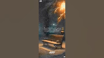 سورة المائدة القارئ #ياسر_الدوسري  #فلسطين#السعودية#المغرب#مصر#الجزائر#تونس