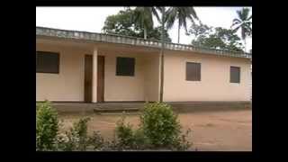 A la découverte de la biodiversité de Nseppe Elog Ngango