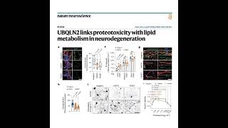 950-UBQLN2 Links Proteostasis in Neurodegeneration