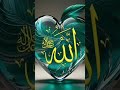 Say 🩷#allahuakbar 🩷 and subscribe