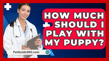How Much Should I Play With My Puppy? - PetGuide360.com