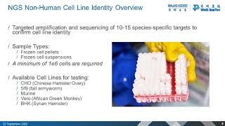 Robust Methods for Stability and Identity Testing of Cell and Gene Therapies