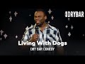 The Truth About Living With Dogs - Dry Bar Comedy