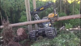 ⚠️ Ponsse Bear 🔱 8WD C6 & H8 ⚠️ mit Harry & Peppo
