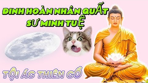 🔥 Nóng!Trùm Cuối Đứng Sau Chỉ Đạo ĐINH HOÀNG NHÂN Bem SƯ MINH TUỆ PHƯỚC NGHIÊM Ngỡ Ngàng?