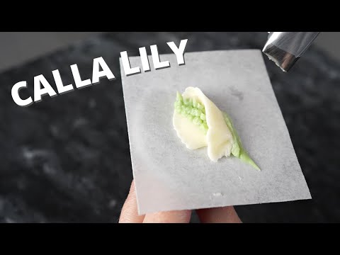 Video: Mögen Calla-Lilien wurzelgebunden?