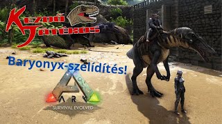 Ark: The Island - Baryonyx-szelídítés!